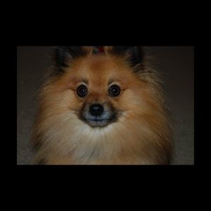 Meet your Posher, Tania